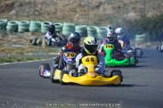 DSC (1143)